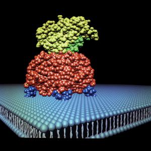 What is Molecular Biology?